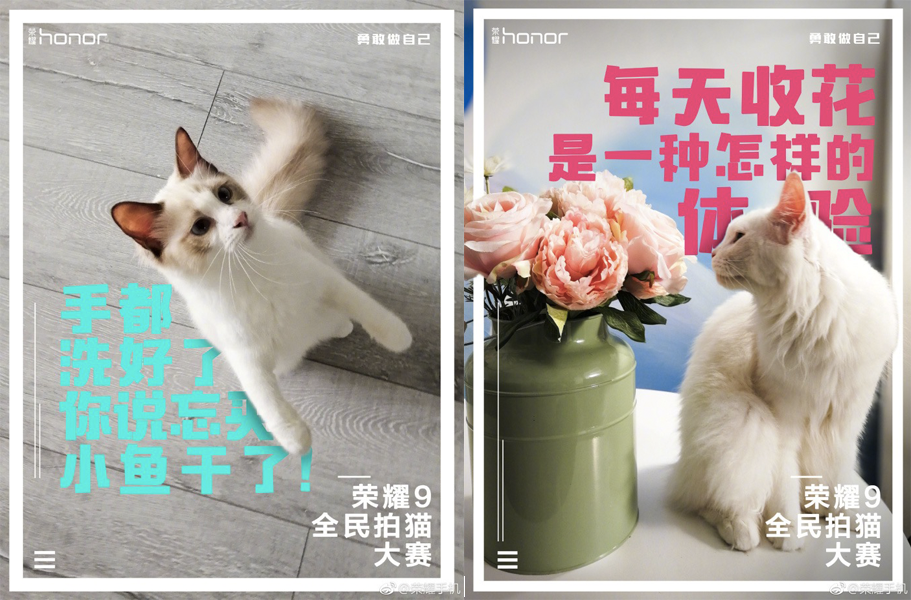 品牌“玩”猫上瘾，背后有哪些营销逻辑？